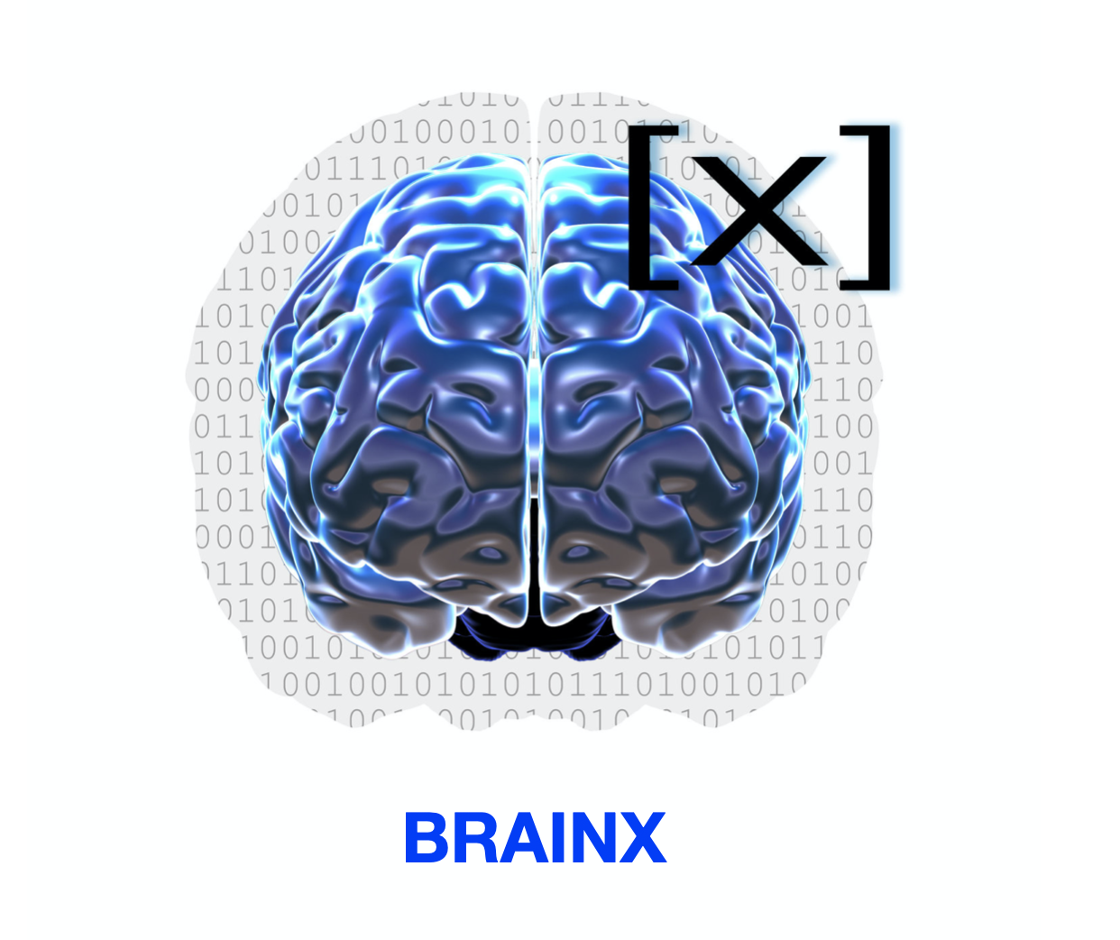 BrainX logo